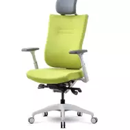 Эргономичное кресло Schairs TONE-F01W (каркас белый)