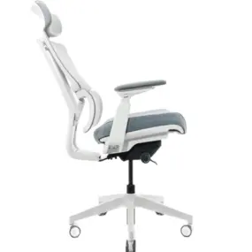 Эргономичное кресло Falto G2 Pro (5 позиций выдвижения поясницы, сетка, ткань, каркас белый, серый)