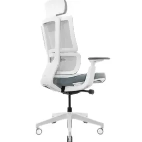 Эргономичное кресло Falto G2 Pro (5 позиций выдвижения поясницы, сетка, ткань, каркас белый, серый)
