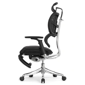 Анатомическое кресло Falto Fly 2 с подножкой (динамичный подголовник, подлокотники 6D (360), сетка, чёрный)