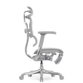 Эргономичное кресло Falto Ergohuman 2 Luxury с подножкой (SmartWork, алюминий, наклон вперёд, сетка, серый)
