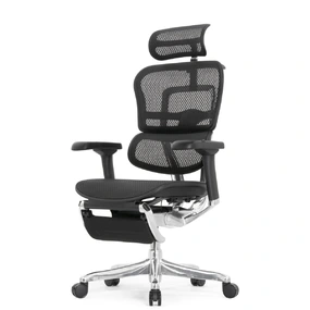 Эргономичное кресло Falto Ergohuman 2 Elite с подножкой (алюминий, наклон вперёд, сетка, чёрный)