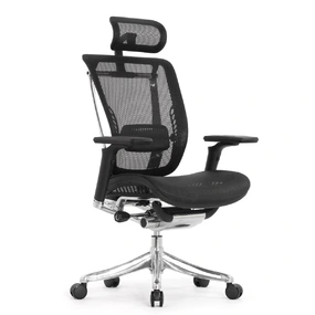 Эргономичное кресло Falto Spring 2 (поясничный валик, подлокотники 6D (360), сетка, чёрный)