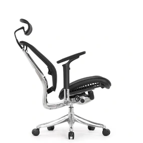 Эргономичное кресло Falto Spring 2 (поясничный валик, подлокотники 6D (360), сетка, чёрный)