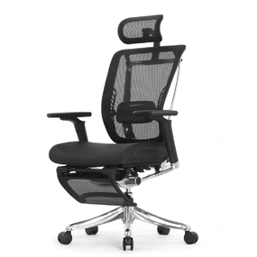 Эргономичное кресло Falto Spring 2 с подножкой (поясничный валик, подлокотники 6D (360), сетка, чёрный)