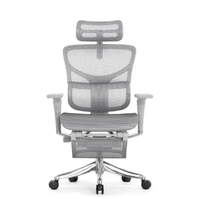 Эргономичное кресло Falto Pro 2 с подножкой (3D поясничный упор, подголовник 4D, каркас серый, белый)