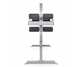 Гиперэкстензия/Римский стул DFC CAP, серебряный