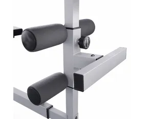 Гиперэкстензия/Римский стул DFC CAP, серебряный