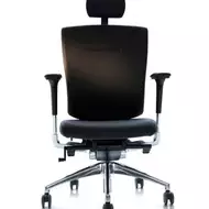 Ортопедическое кресло Duorest DuoFlex Bravo BR-100L